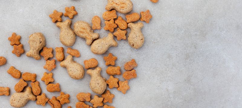 Kattsnacks