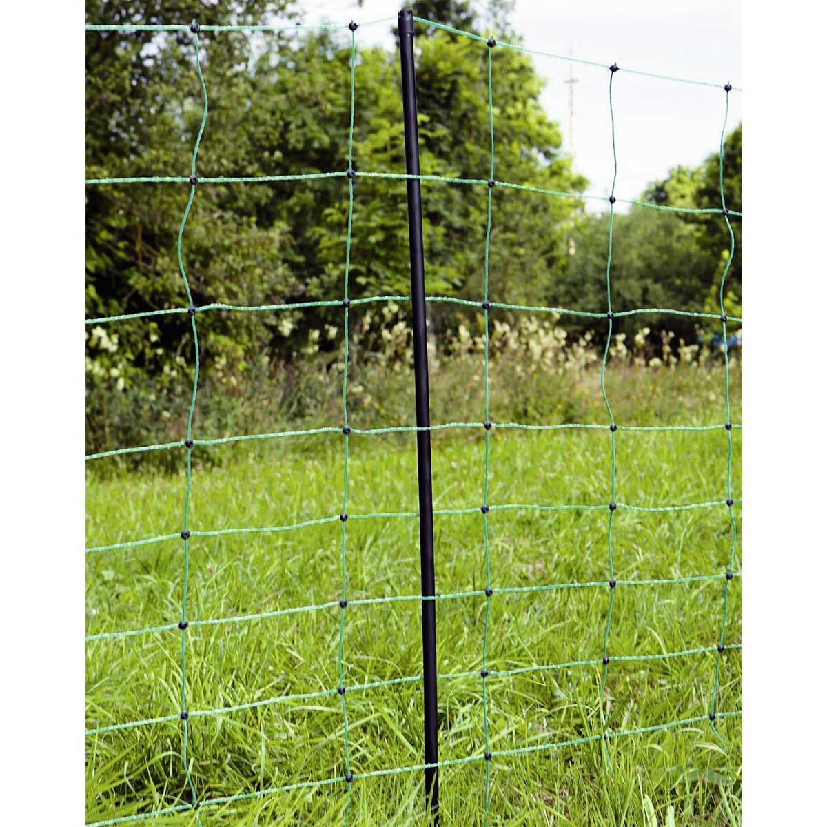 Agrarzone plasă electrificabilă pentru oi Classic, verde, în utilizare