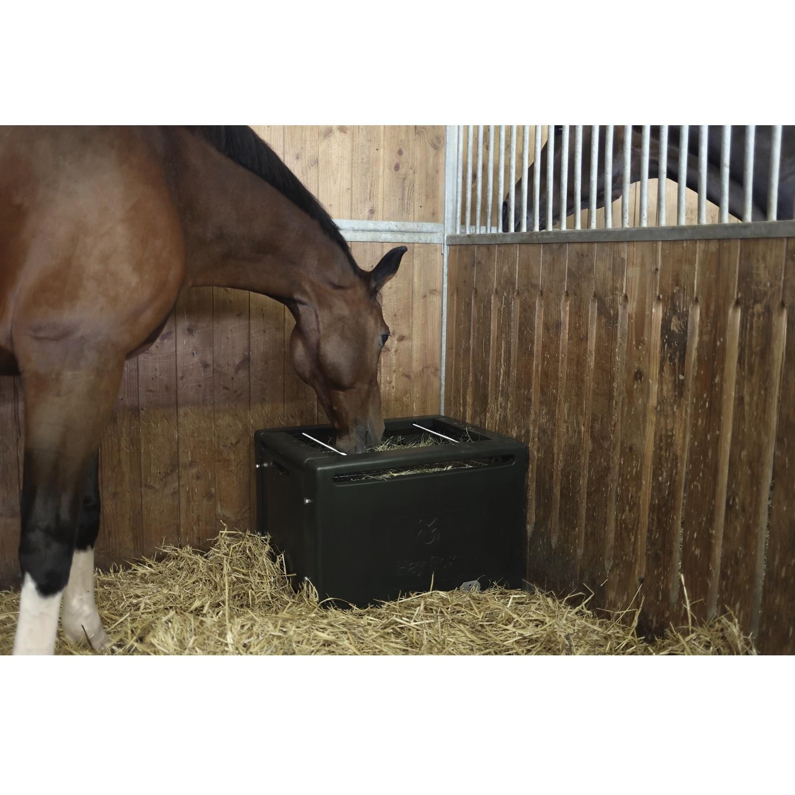 Kerbl Heubox HayBox mit Metallgitter für Pferde, staubarm, ca. 8-10 kg Heu, im Einsatz, im Stall