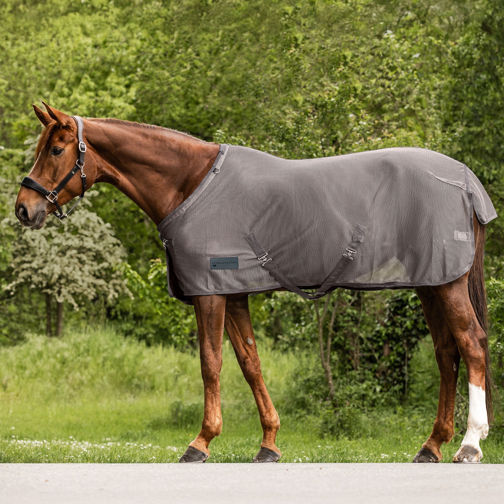 horse blanket, horse rug, stable blanket, neoprene?, mesh blanket