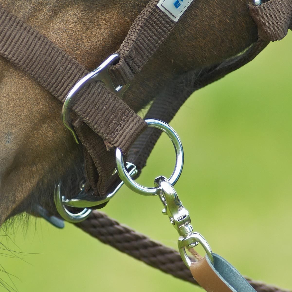 BUSSE Capezza RIDING, capezza in tessuto per equitazione e lavoro a terra, dettaglio, chiusura