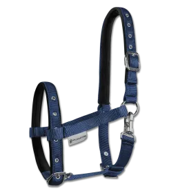 Pferdehalfter aus dunkelblauem Nylon mit schwarzer Polsterung und Karabiner