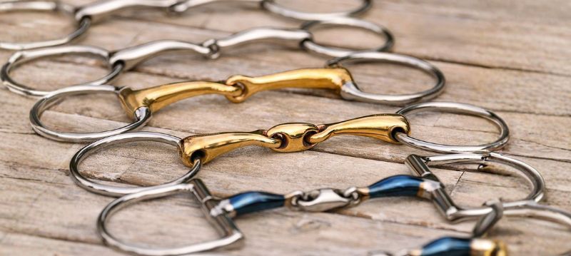 Waldhausen Morsi e filetti