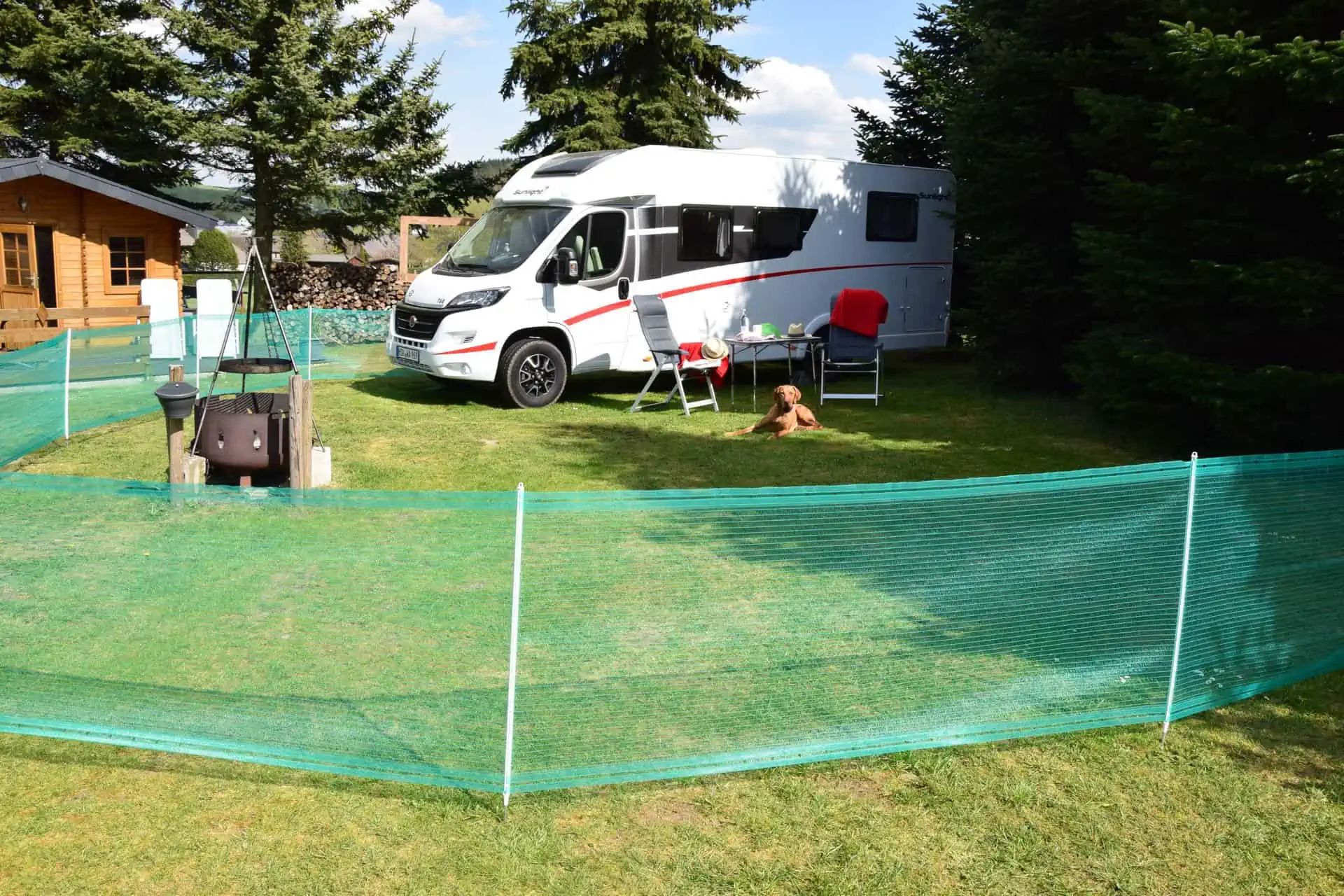 Kerbl Gard universal verde 80 cm x 20 m, cu stâlpi din fibră de sticlă, în utilizare, pe pășune