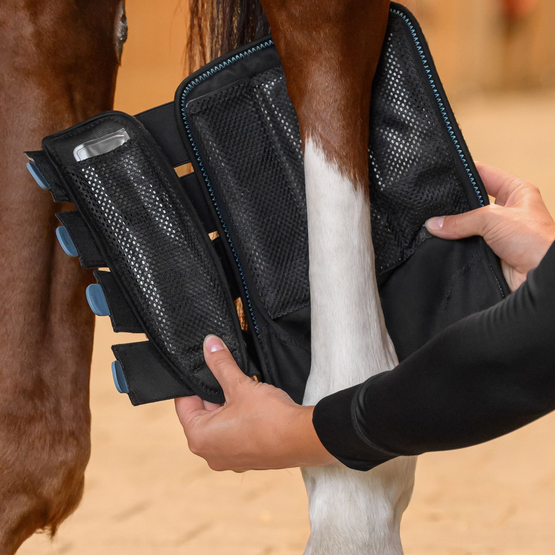 horse, horse boot, leg brace, stirrup boot, protective gear