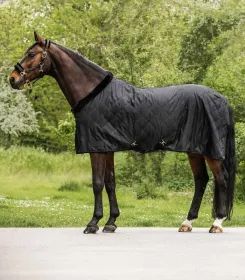 Braunes Pferd steht auf Weg mit dunkler gesteppter Abdeckdecke bekleidet