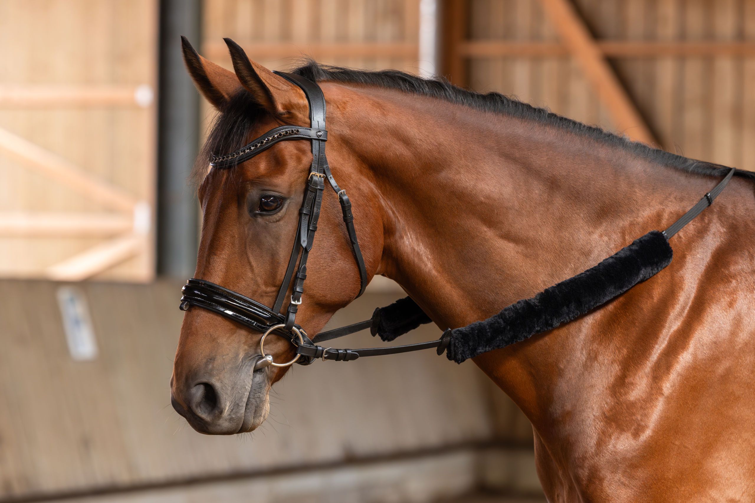 horse, bridle, headstall, bronze-bay, riding-gear