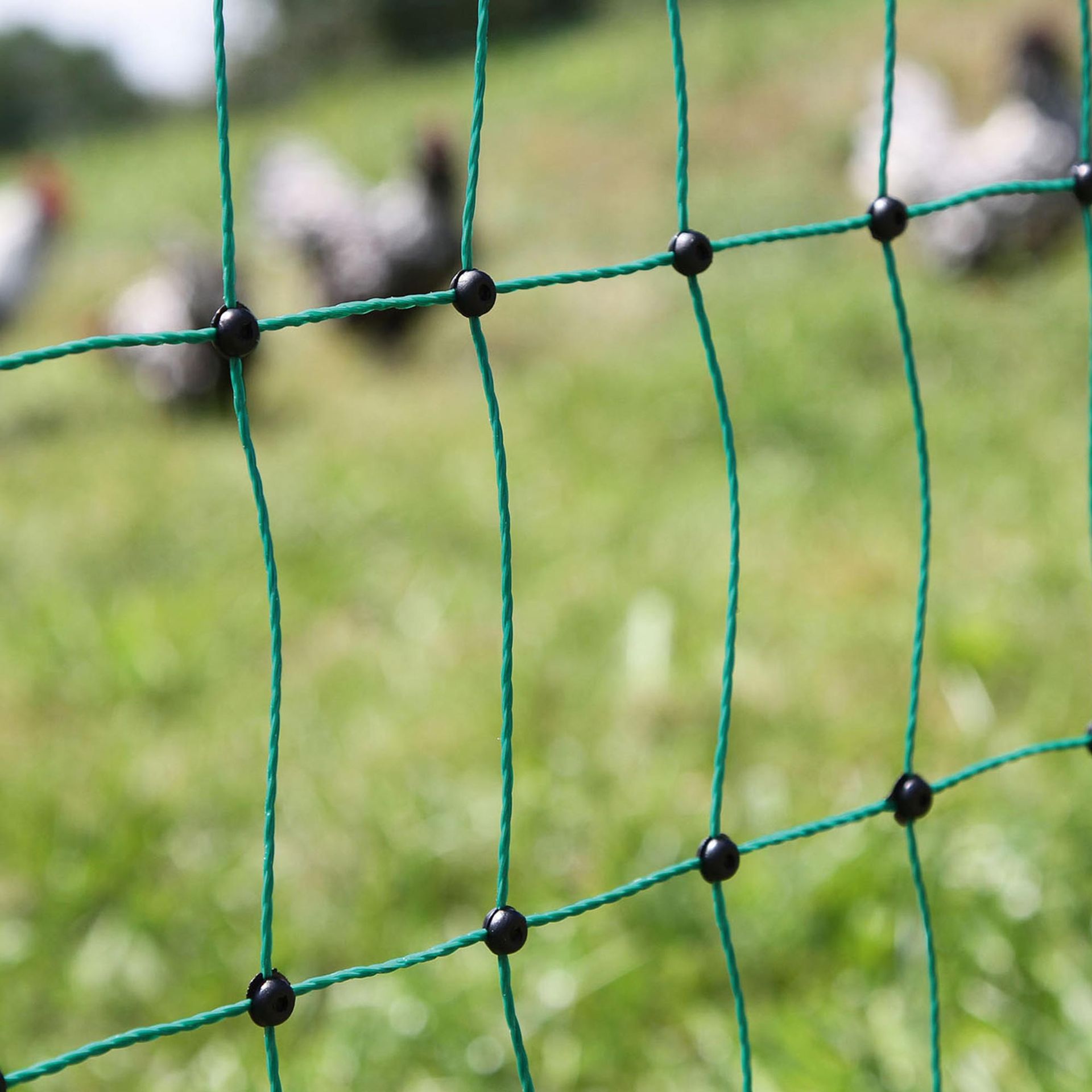 AKO Poultrynet Electric Poultry Fence Netting Green 112cm, detail view