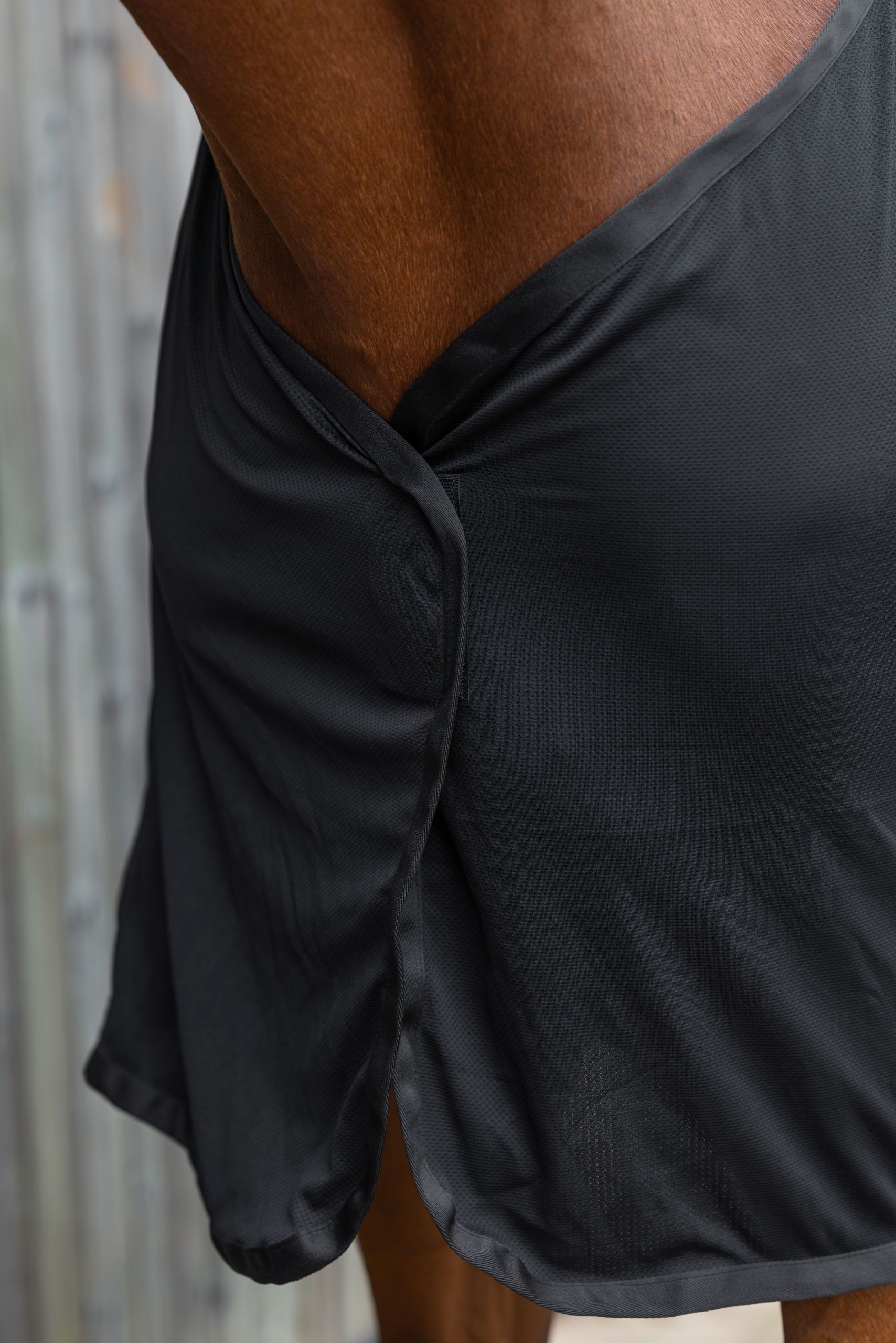 horse, horsewear, black fabric, athletic tail, garment detail