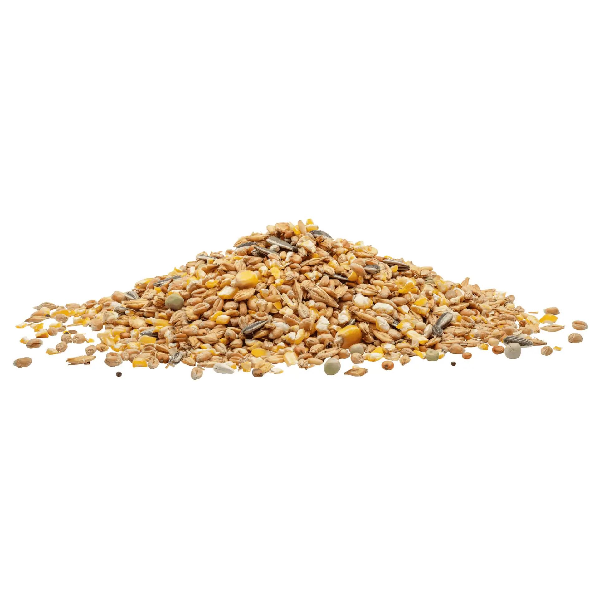 Leimüller Mangime per galline e polli in muesli, prodotto sfuso