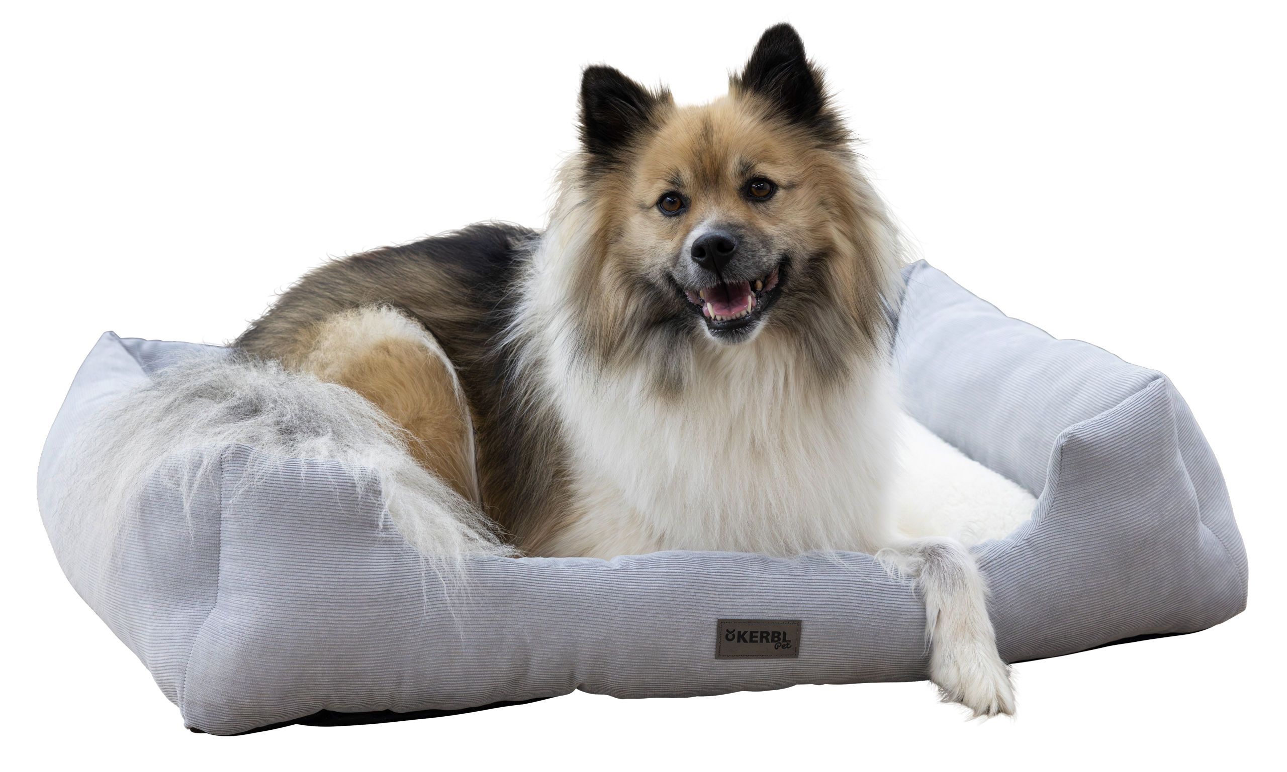 Kerbl Kuschelbett Zoe, Hundebett mit Rand, waschbar, grau-weiß, im Einsatz