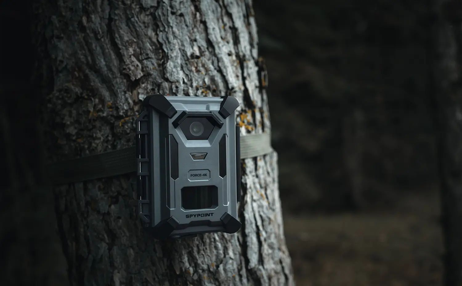 SPYPOINT FORCE-4K trail camera, mounted on a tree trunk