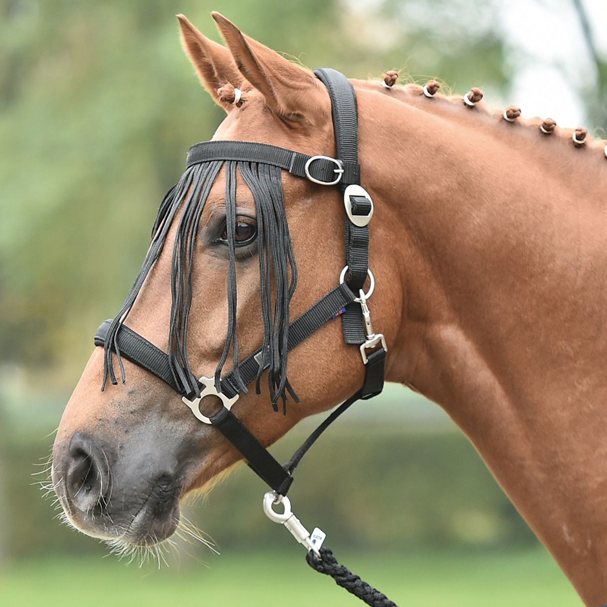 BUSSE Frontal anti-mouches TAMPERE, protection réglable, en utilisation