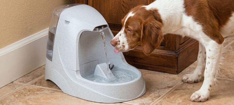 Fontaine à eau