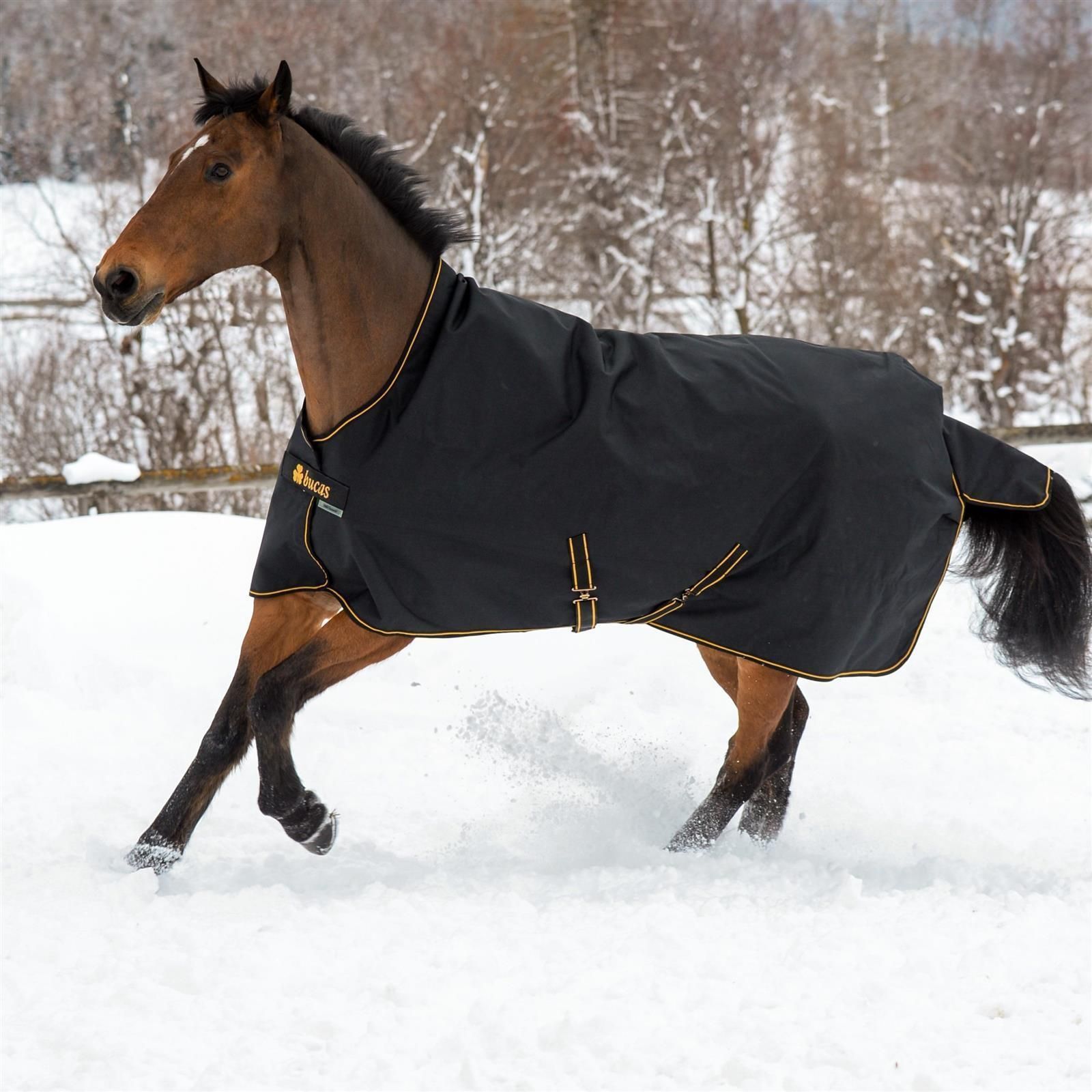 Couverture de cheval Bucas Irish Turnout 150g 135