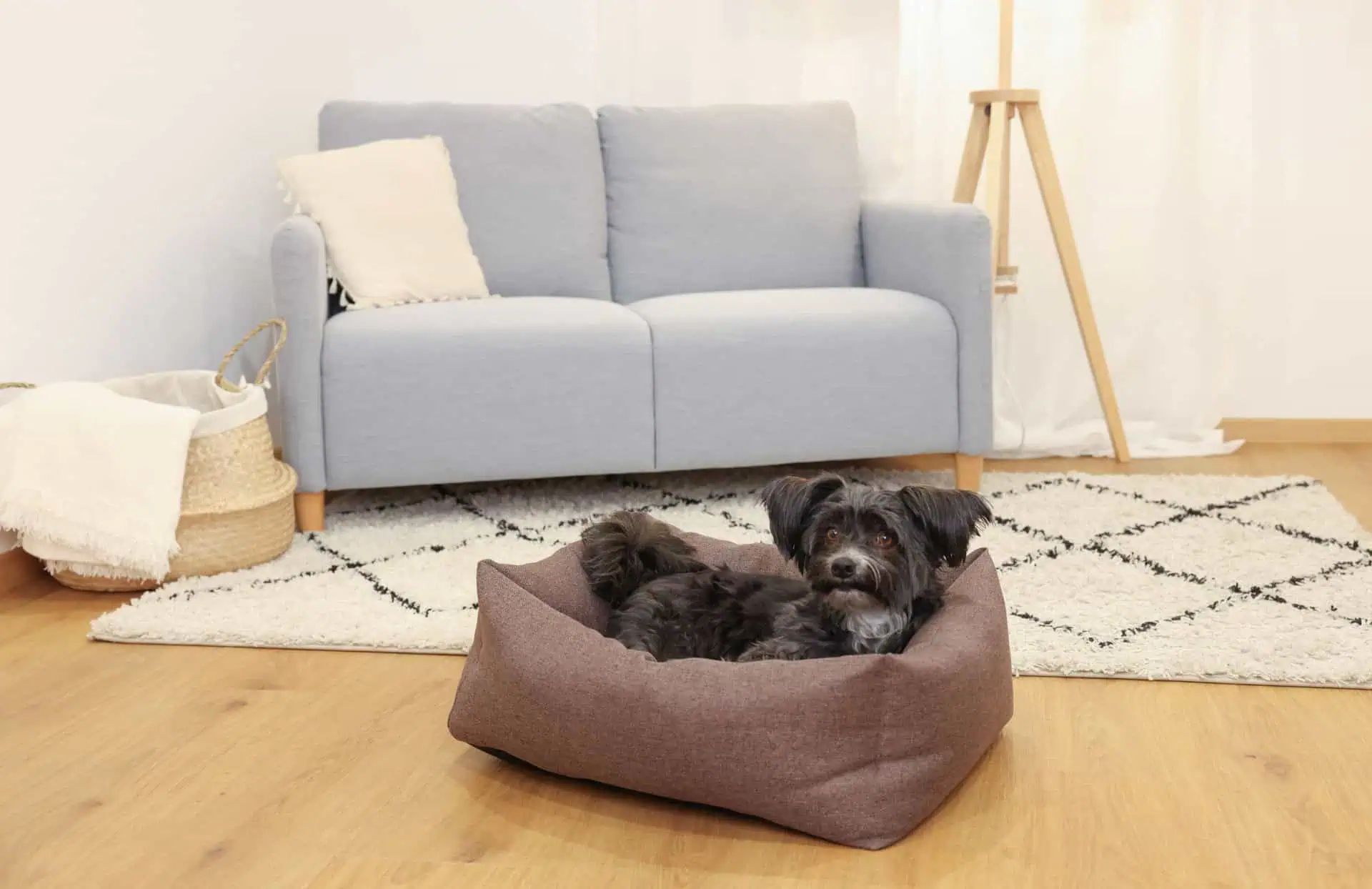 Kerbl Snugly Bed Ely, Dog & Cat Bed Brown/Beige, Washable Cover, in use, indoors