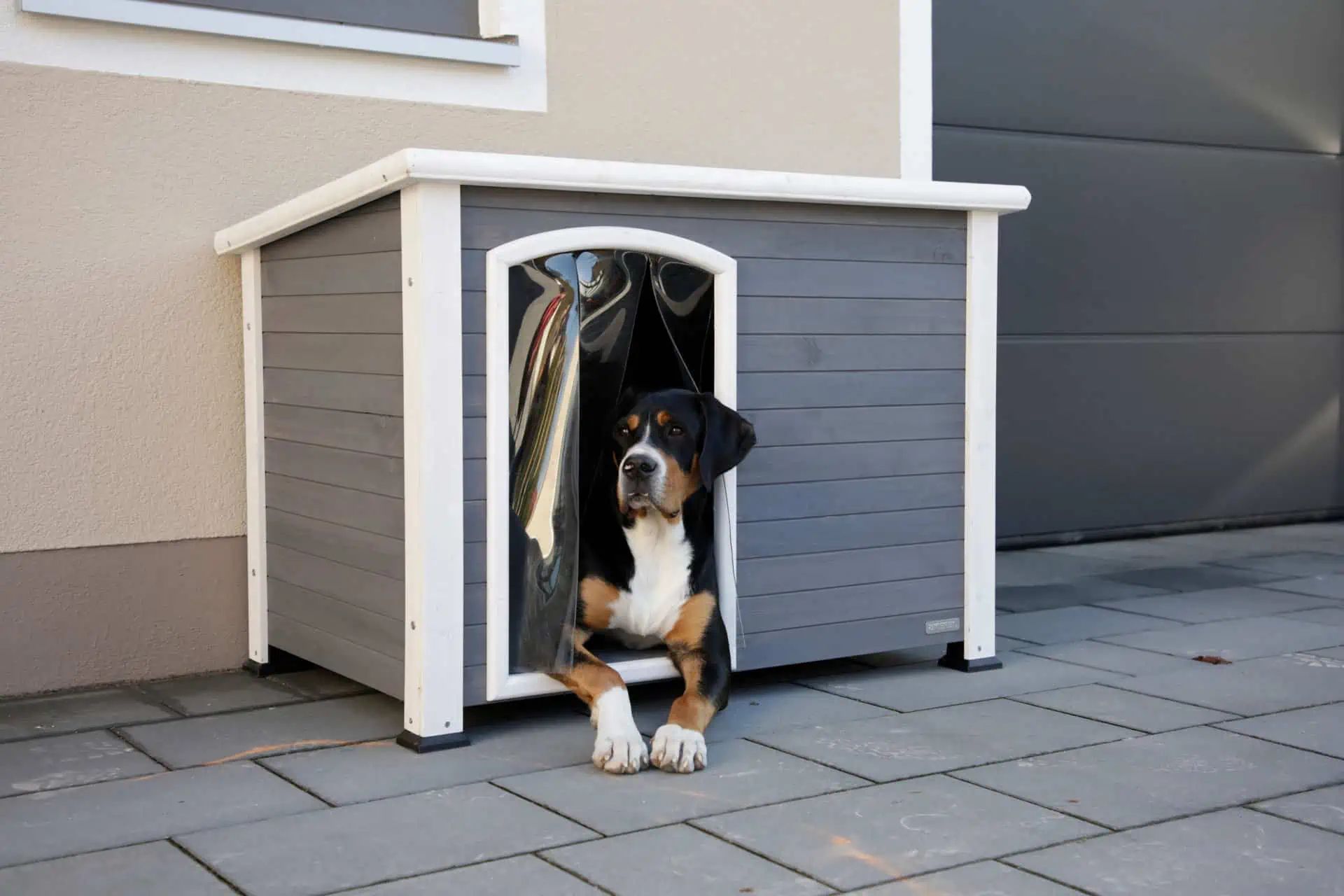 Niche pour chien Kenny Kerbl, gris/blanc, 113 x 77 x 81 cm, toit bitumé, en utilisation