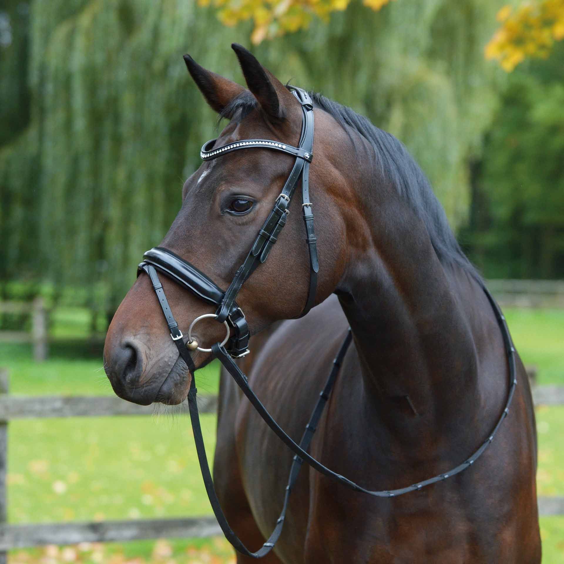 BUSSE kengyel MONZA COB fekete