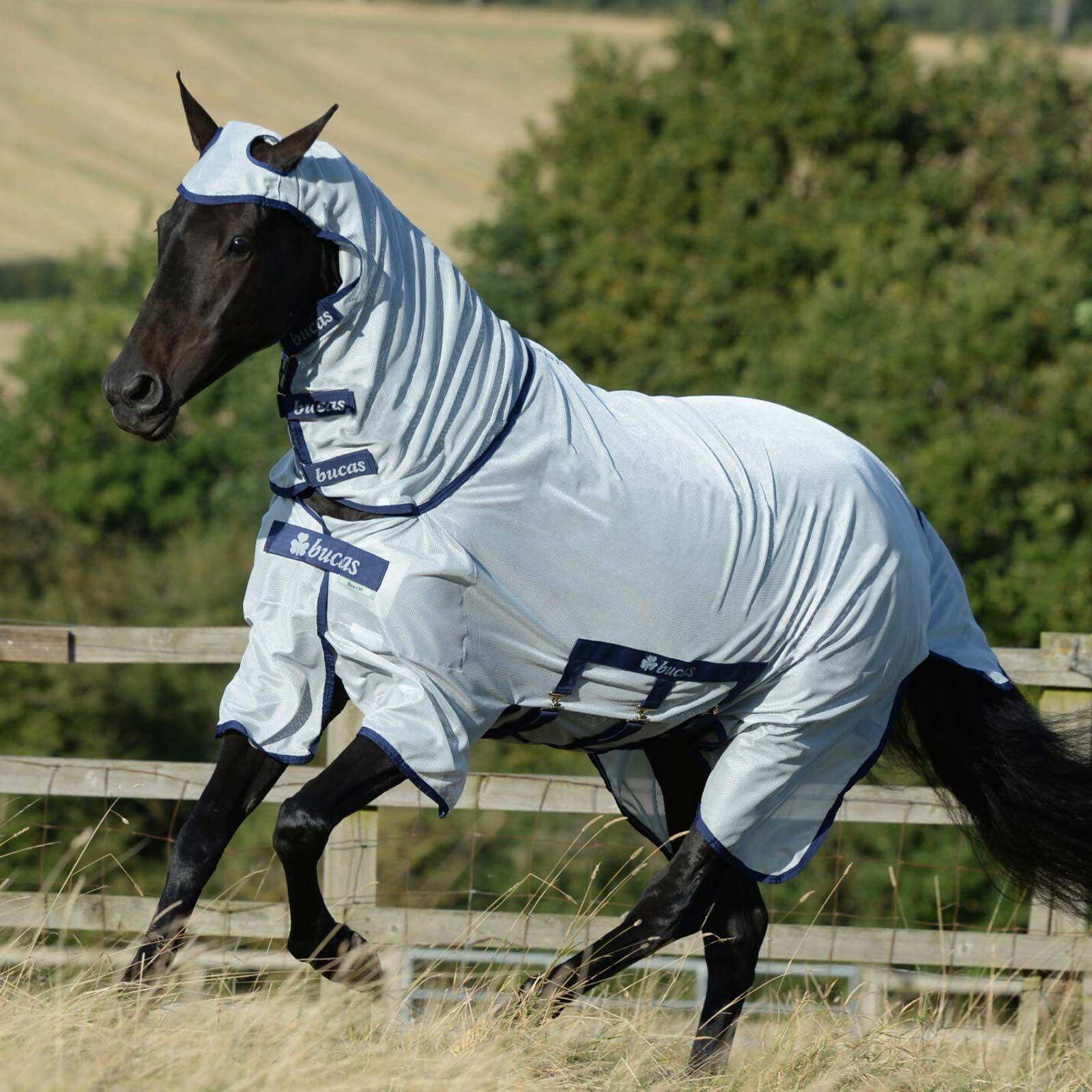 Bucas Buzz-Off X Fliegendecke Full-Neck 155
