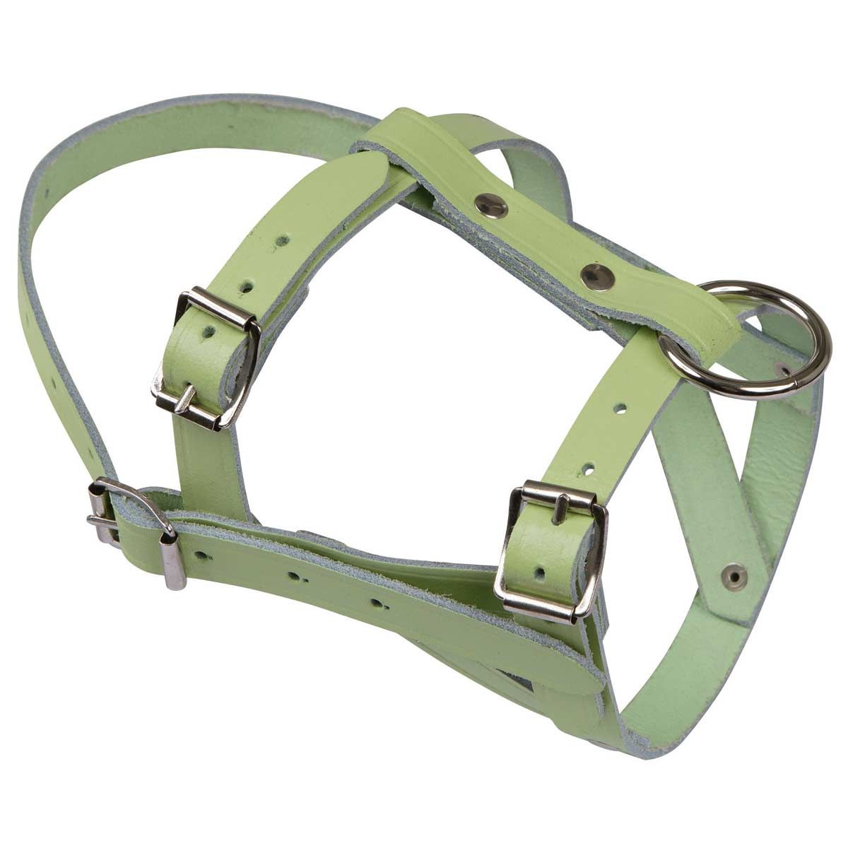 Collier de tête pour moutons et chèvres