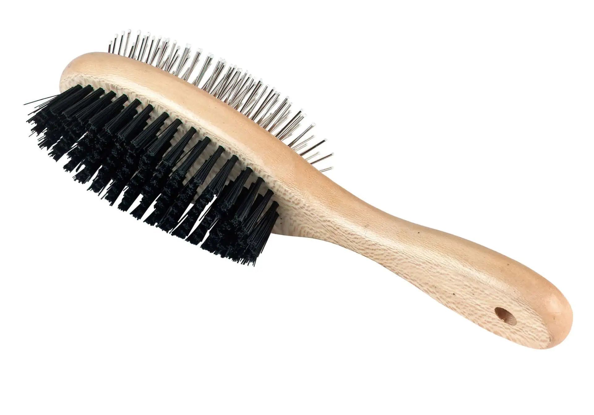 Brosse double ovale avec capuchons de protection et poils