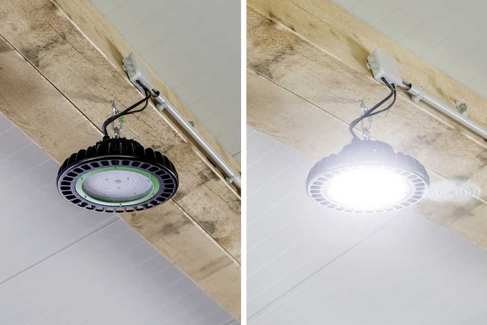 LED indoor spotlight, in use, in the stable