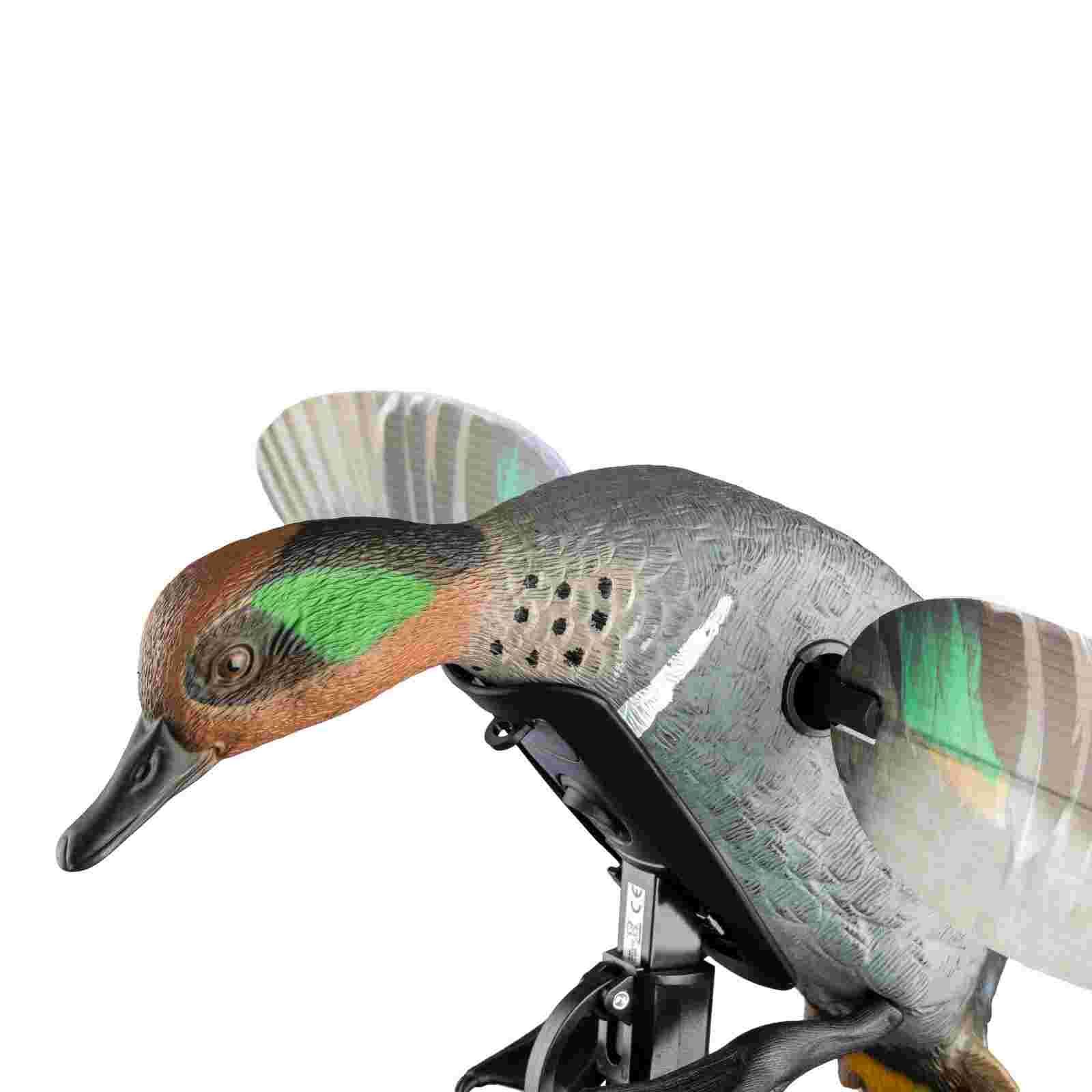 Mojo ES Green Wing Teal Vogelattrappe, Detailansicht