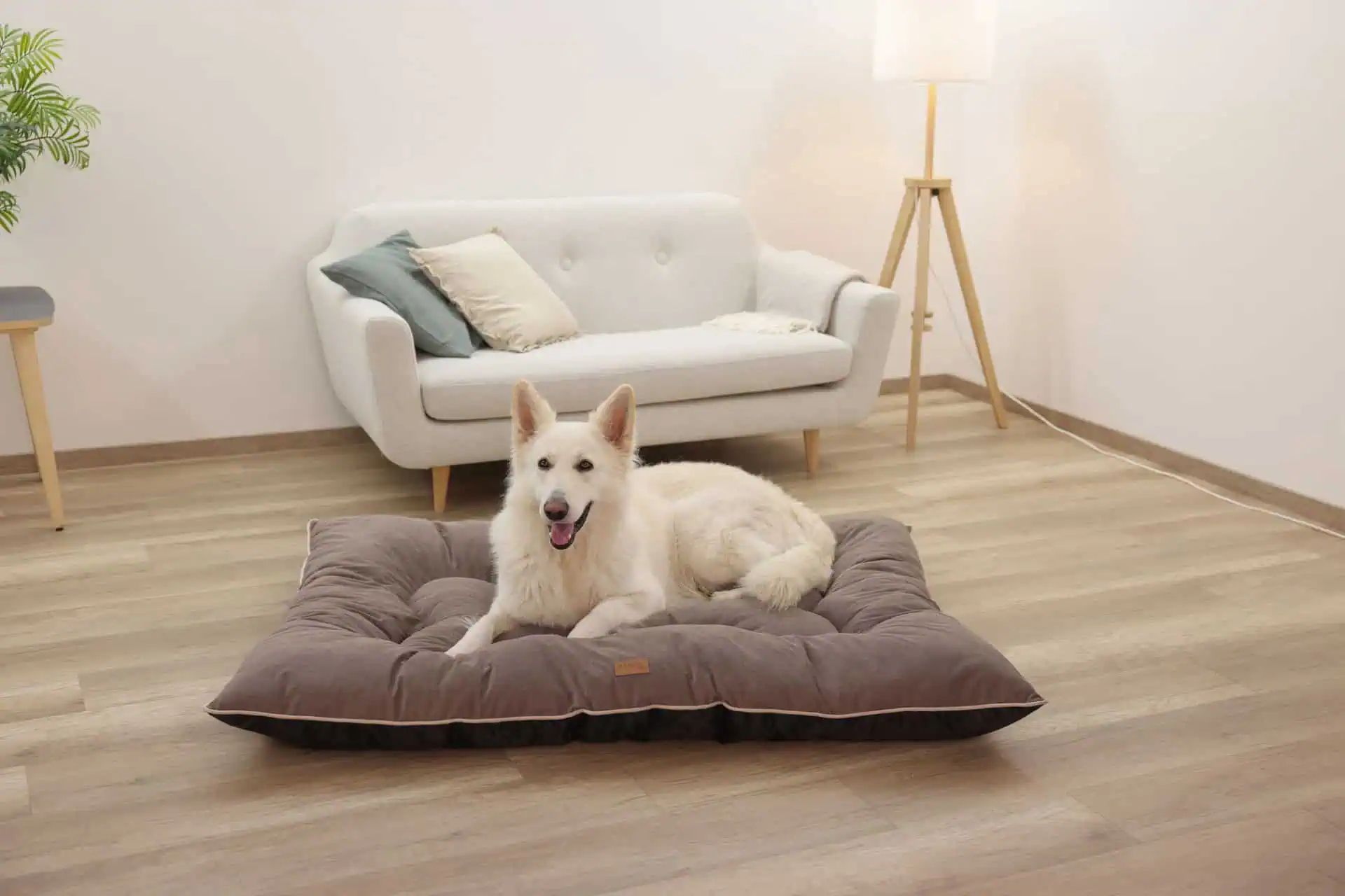 Kerbl Pet Hundkudde Benno i Chenille, formstabil & extra varm, i användning, inomhus