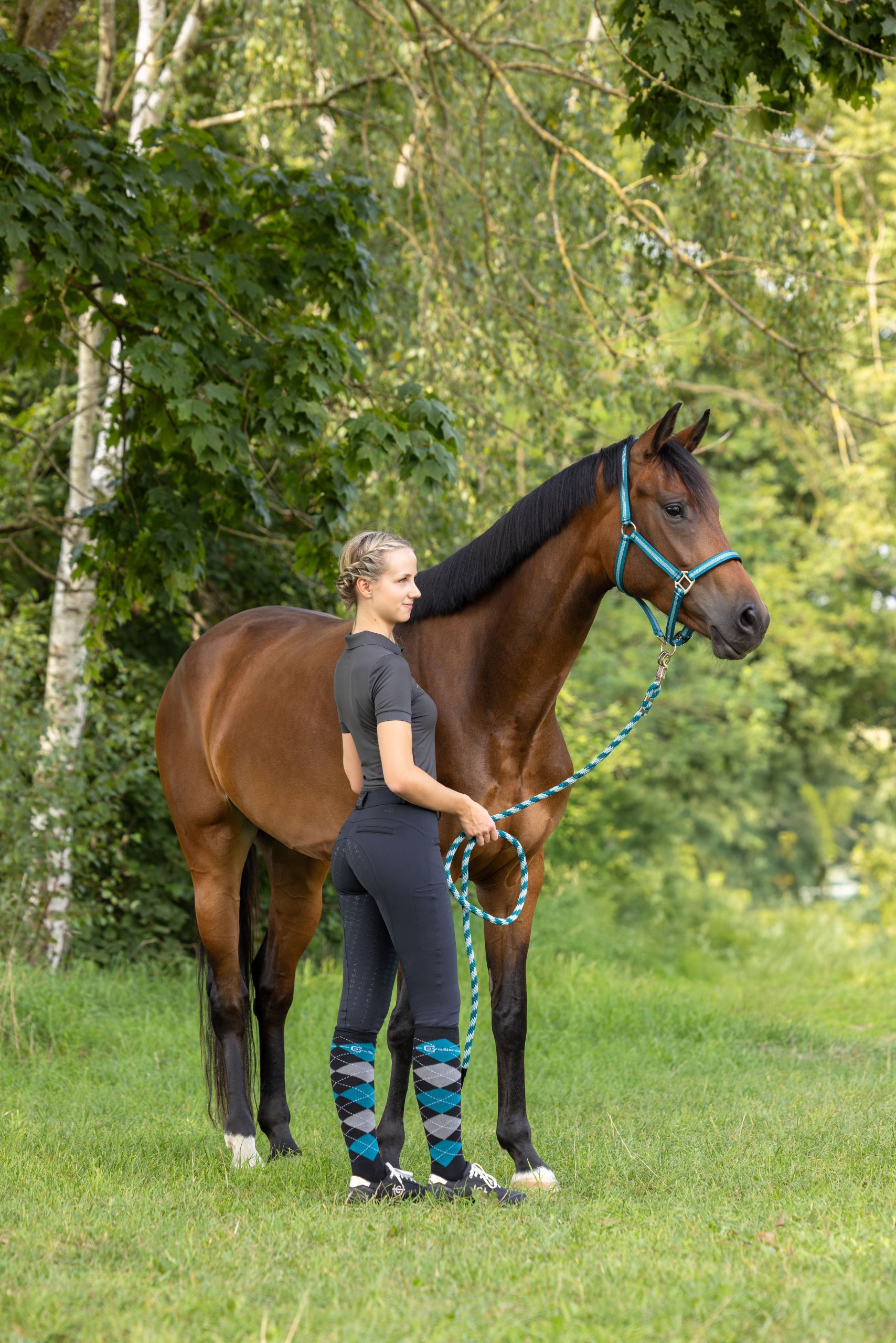 Pferd, Reitunterricht, Reiterin, Leine, blaues Halfter