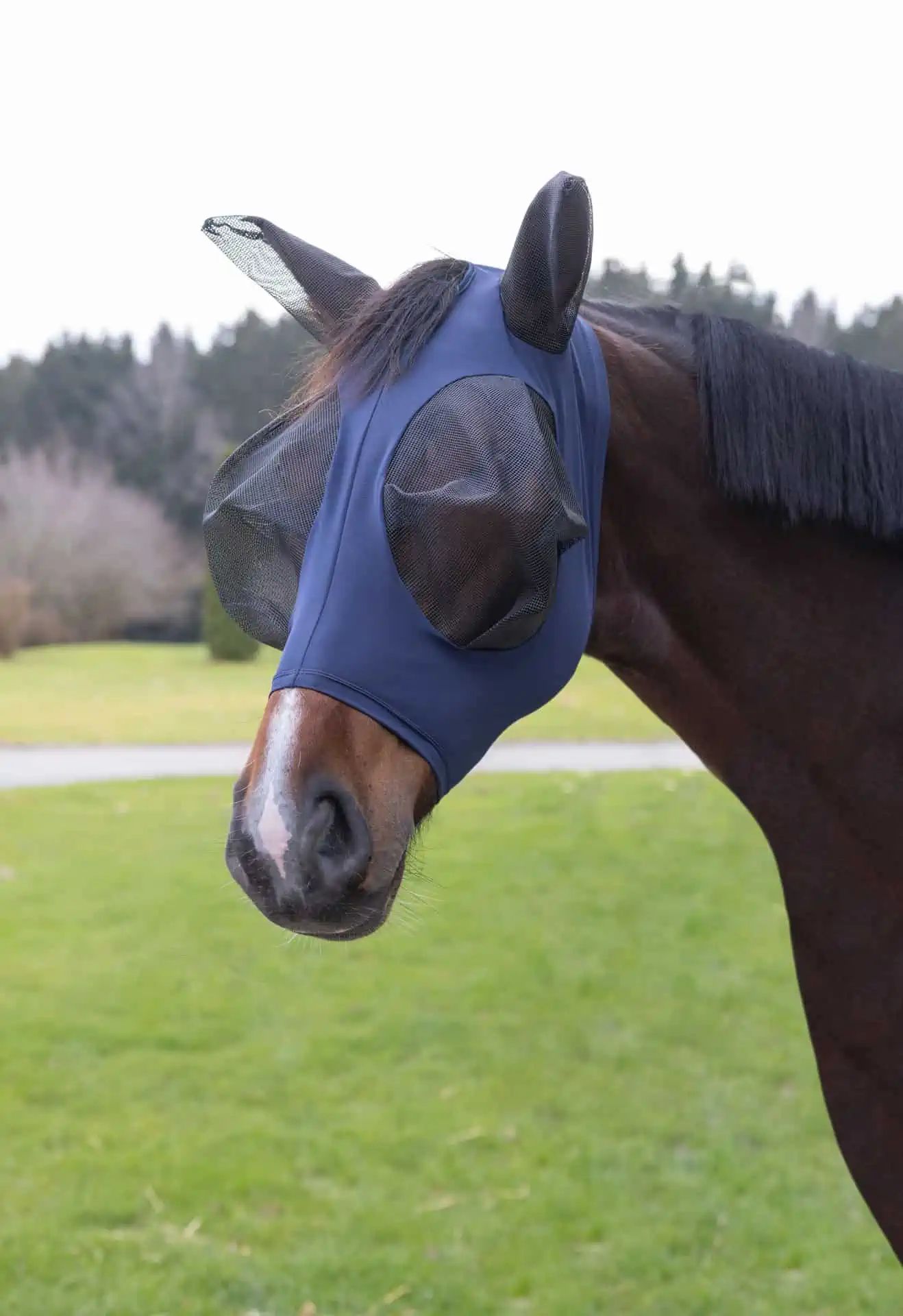 Masque anti-mouches Covalliero FinoStretch avec protection UV, noir/bleu, Pony