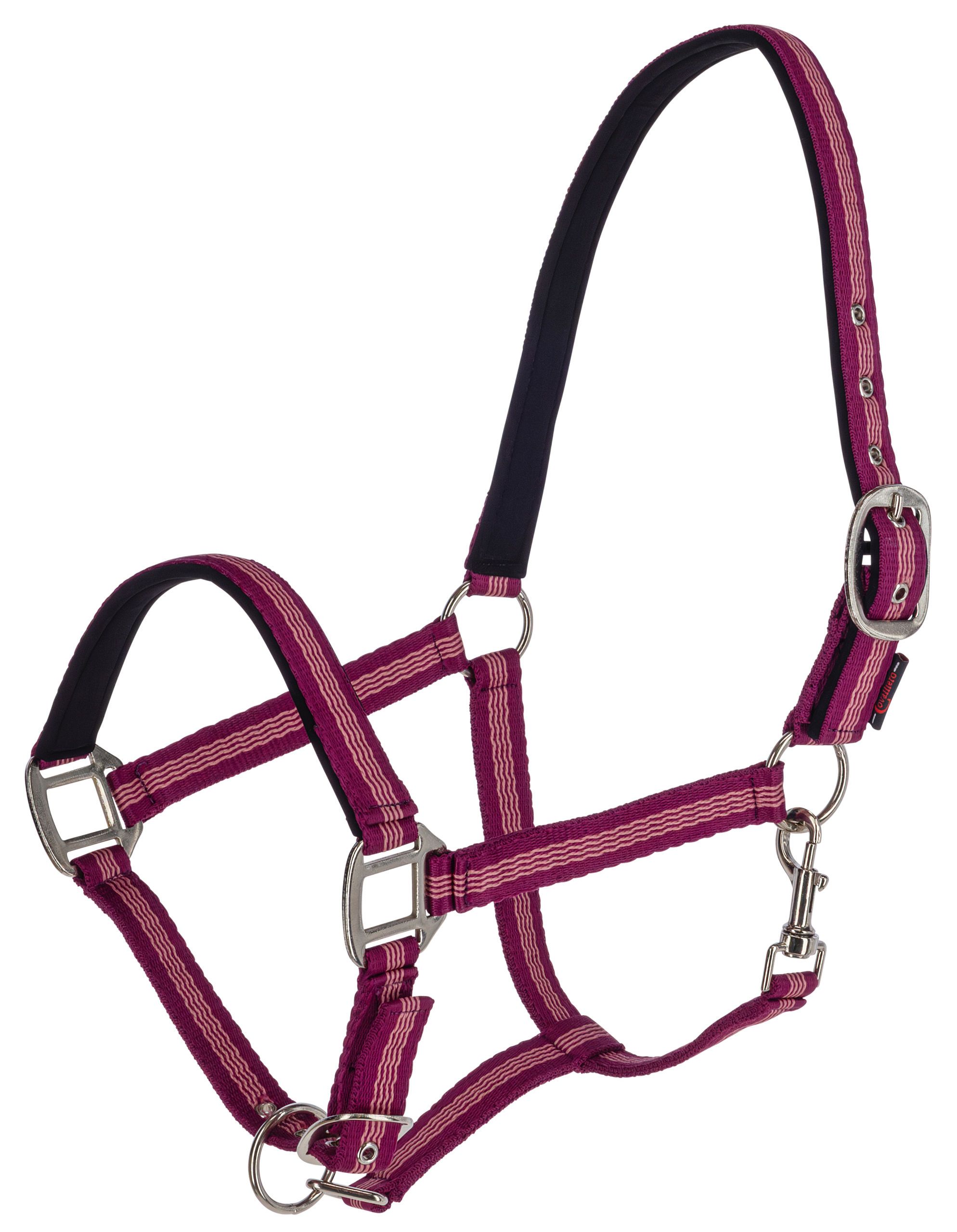 halter, halter with straps, horse tack, pink strap, metal hardware