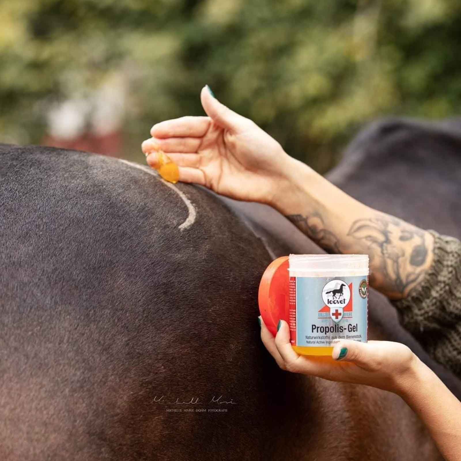 leovet Propolis Gel für Pferde, 350 ml Hautpflege Bienenstock, im Einsatz
