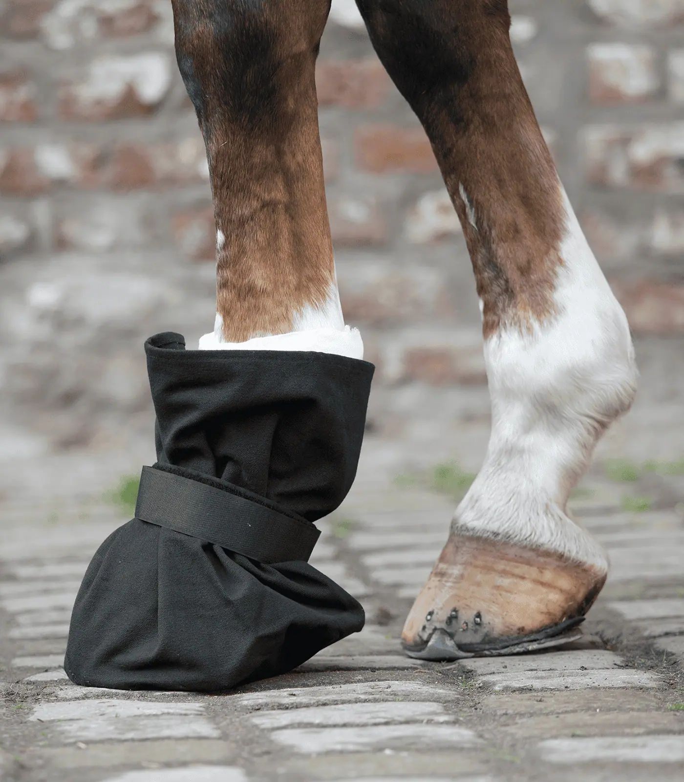 Waldhausen Protection de Pansement pour Sabot, Toile et Semelle PVC, Cheval/WB