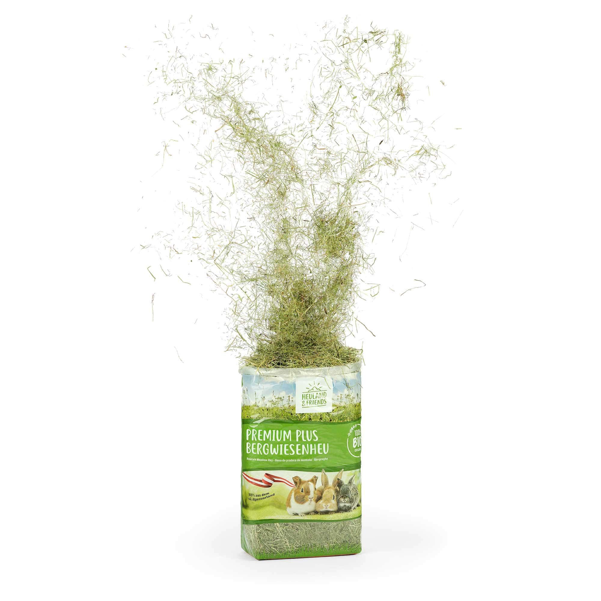 herbs, bunny grass, hay bouquet, decorative grass, animal habitat