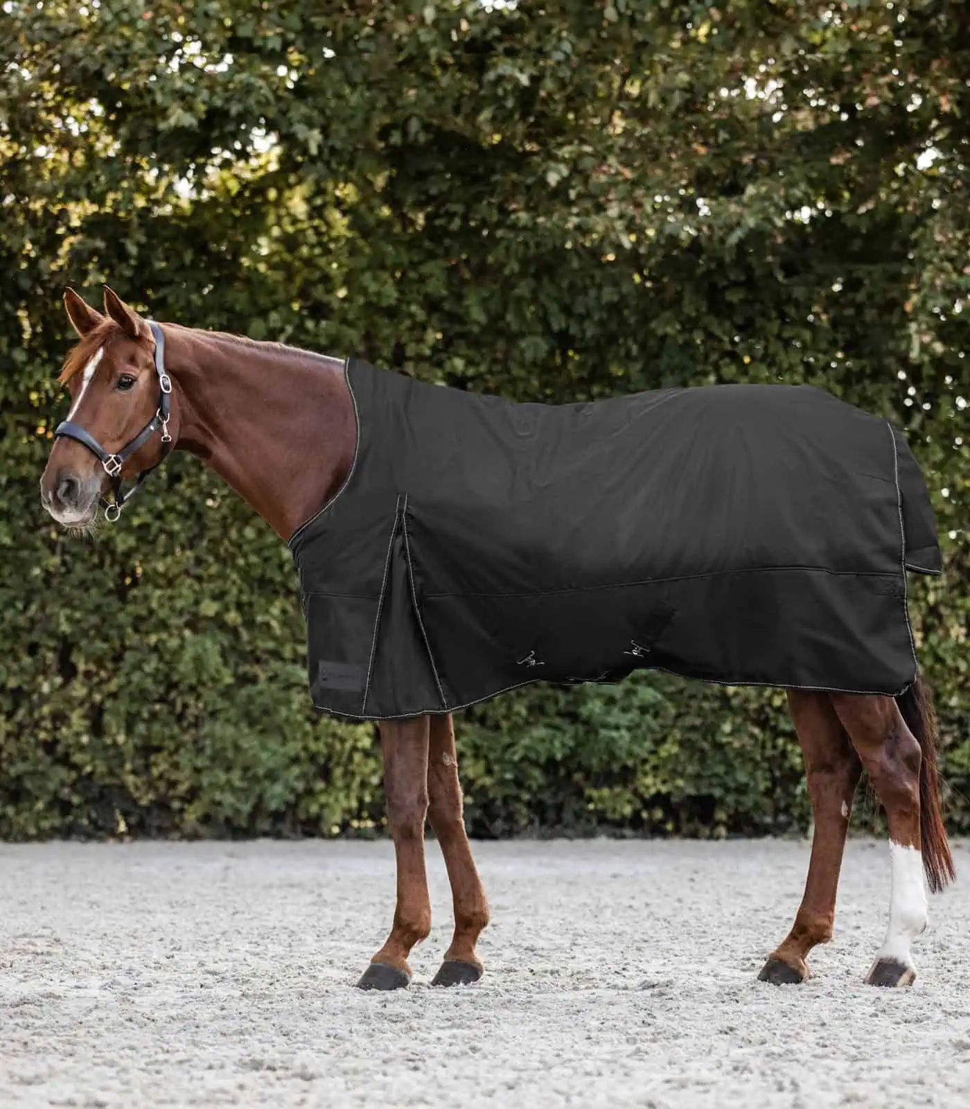 NORDIC Turnout Rug, High Neck, Light black 125