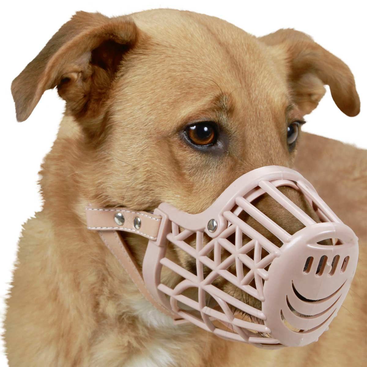 Kerbl Muselière Chien Plastique, Rivetée avec Sangles Cuir, taille 4