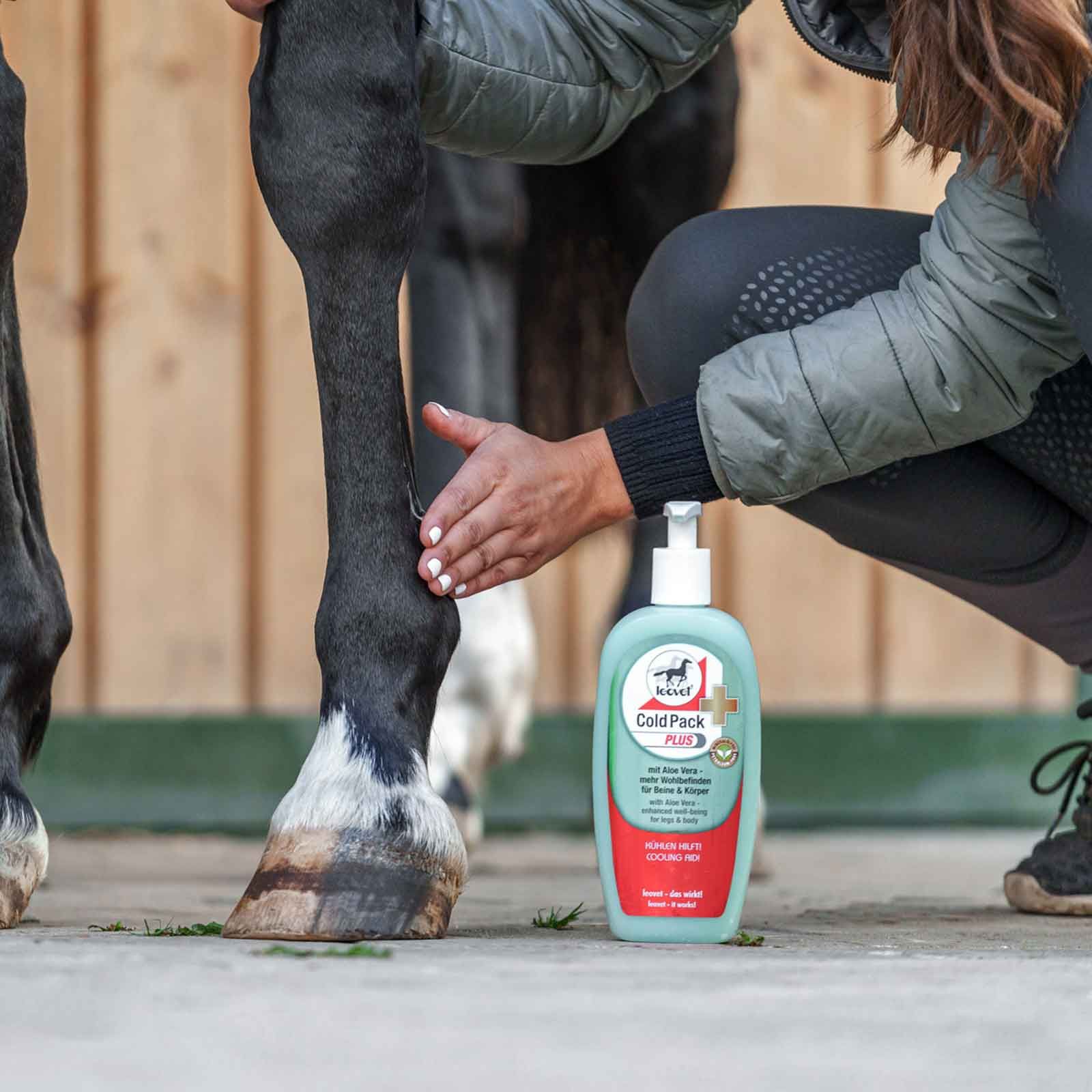 Leovet Cold Pack Plus Crema per cavalli con aloe vera, 500 ml, in uso