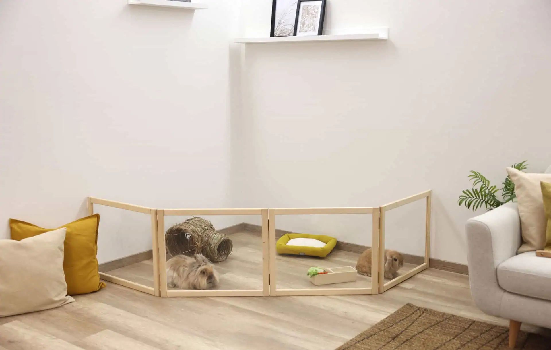 Kerbl Pet Recinto Divisorio da Interno per Piccoli Animali in Plexiglas, in uso, in casa