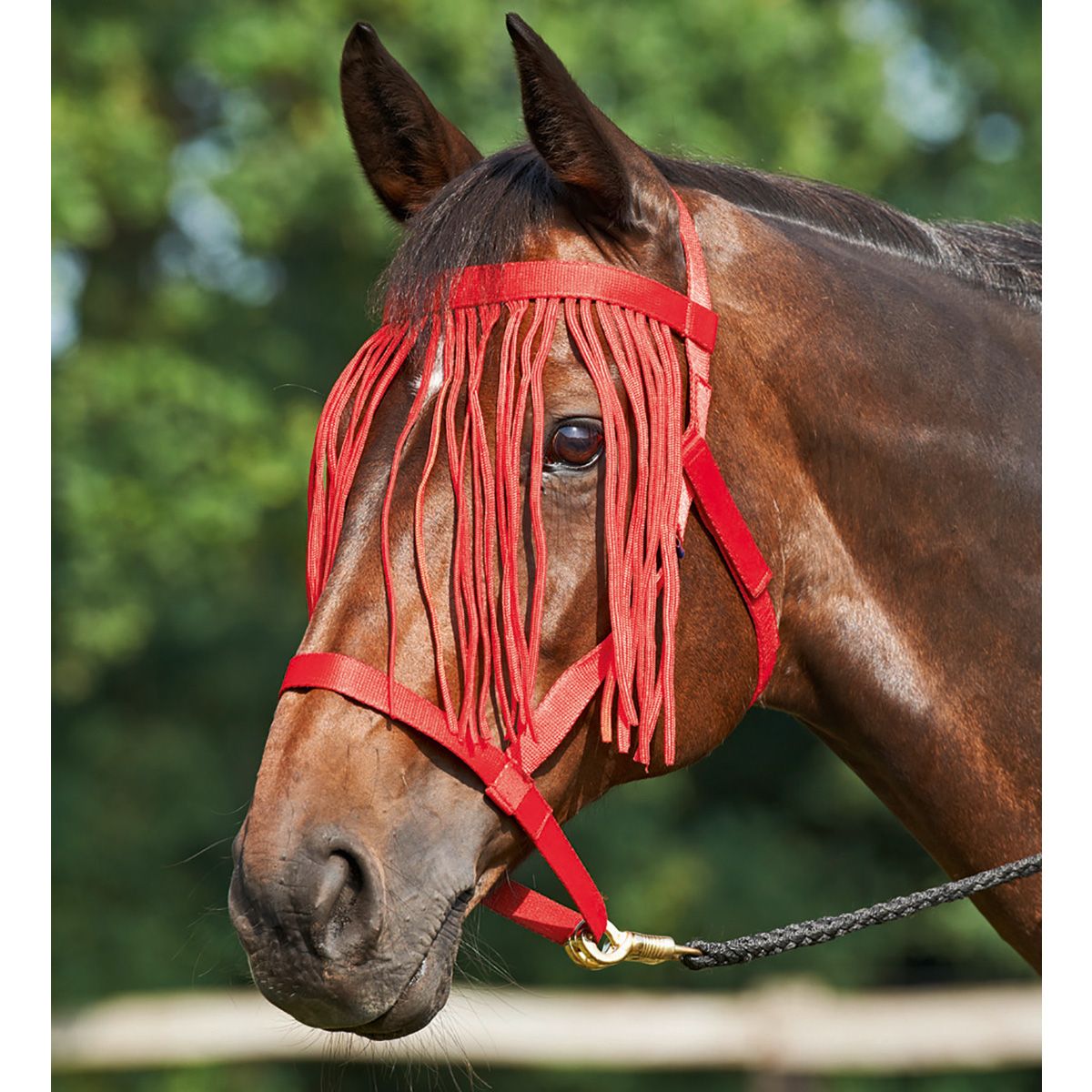 BUSSE Licol WEIDE-FRANSEN avec franges anti-mouches, sans métal, rouge, Shetty