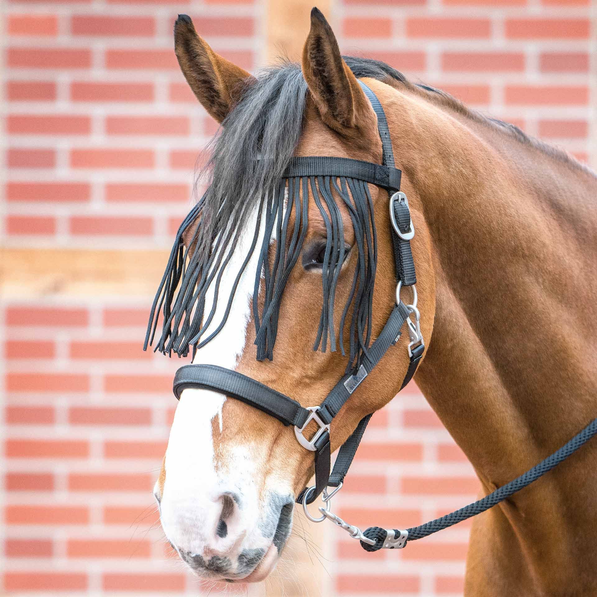 BUSSE Flugmask VISBY II Shetty svart