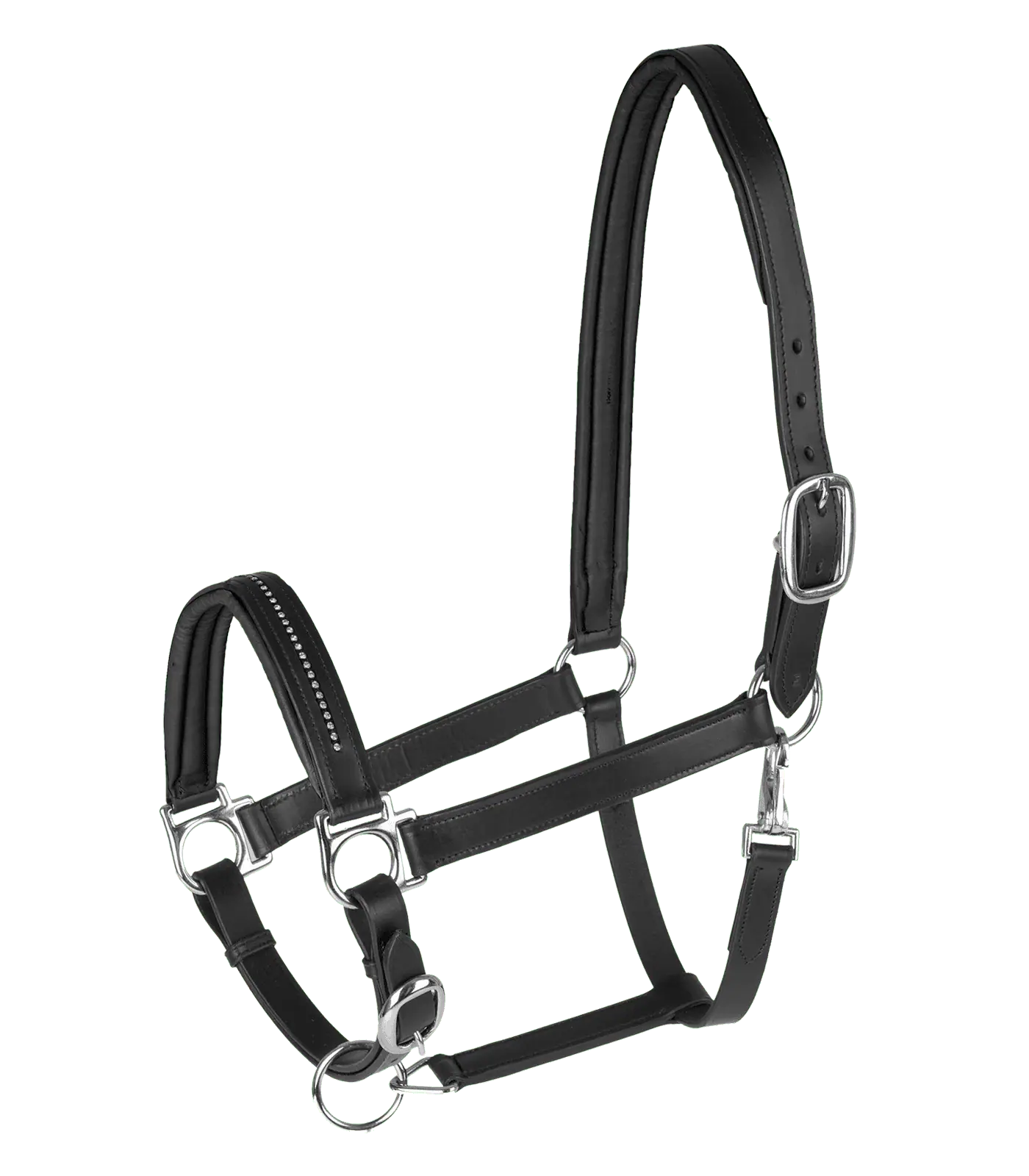 STAR Licol en cuir Diamond, robuste avec muserolle colorée, Noir, Poney