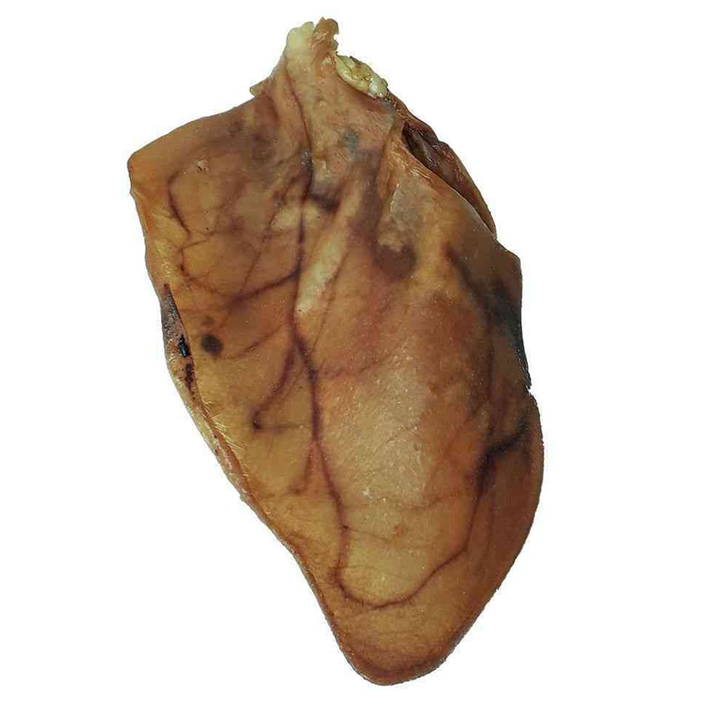 Kausnack Schweineohren XXL 4 Stk.