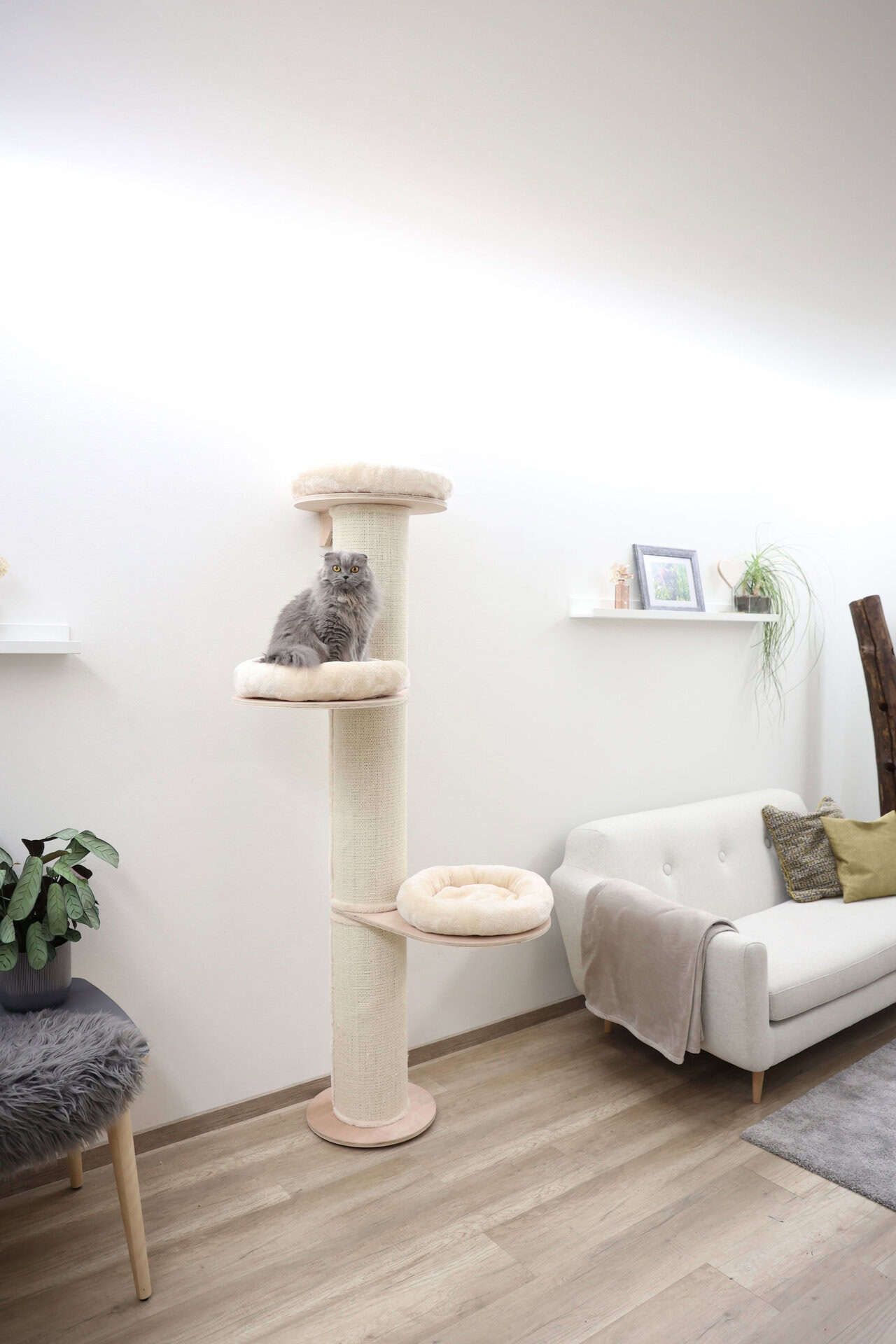 Kerbl Kratzbaum Dolomit Tower, 187 cm, Wandmontage, im Einsatz, im Wohnraum
