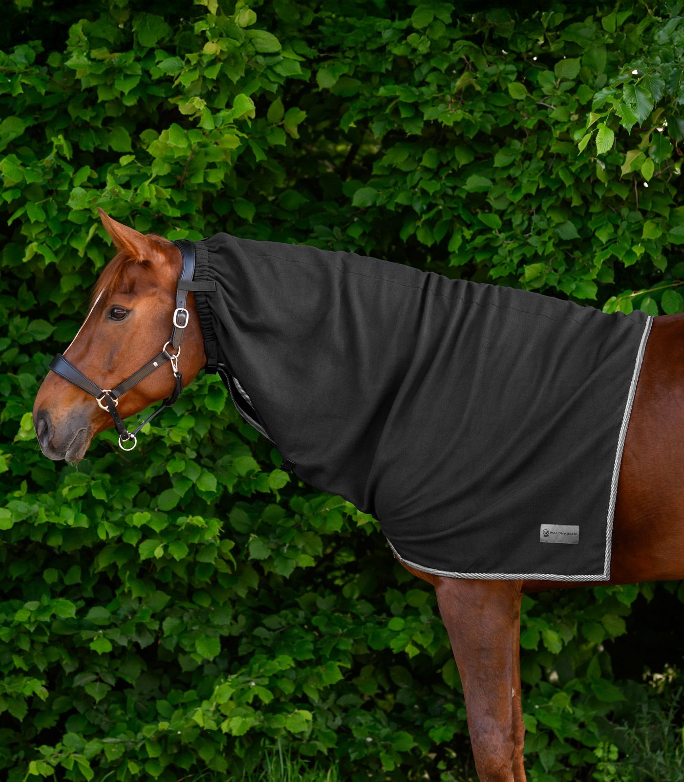 Waldhausen ECONOMIC Fleece-Halsteil – Ergänzung zur Fleecedecke, schwarz