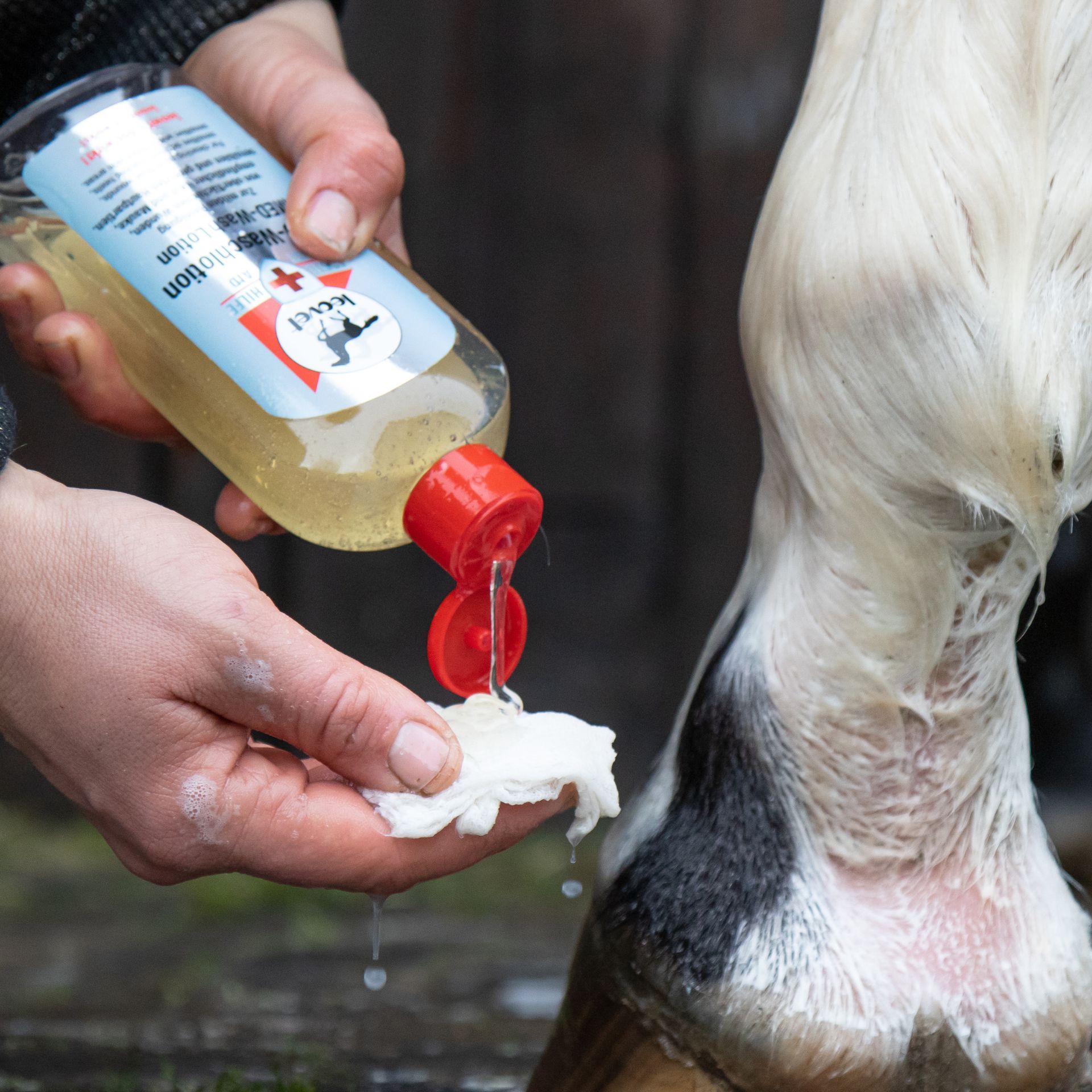 hand, soap, bottle, liquid, horse neck