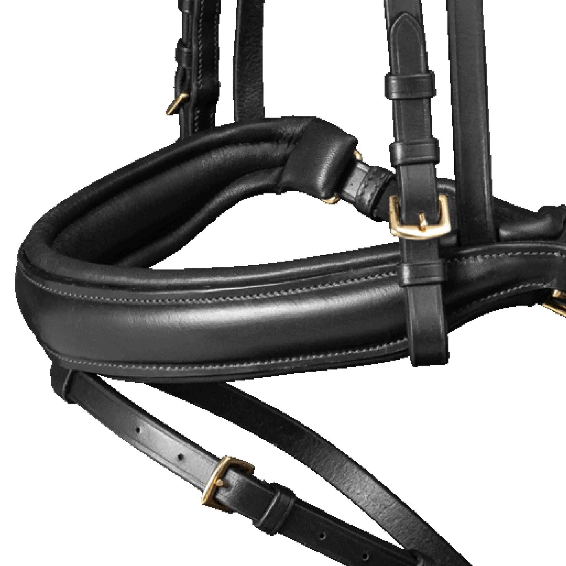 Waldhausen X-Line Bridon Goldheart, combiné suédois, Noir, FULL