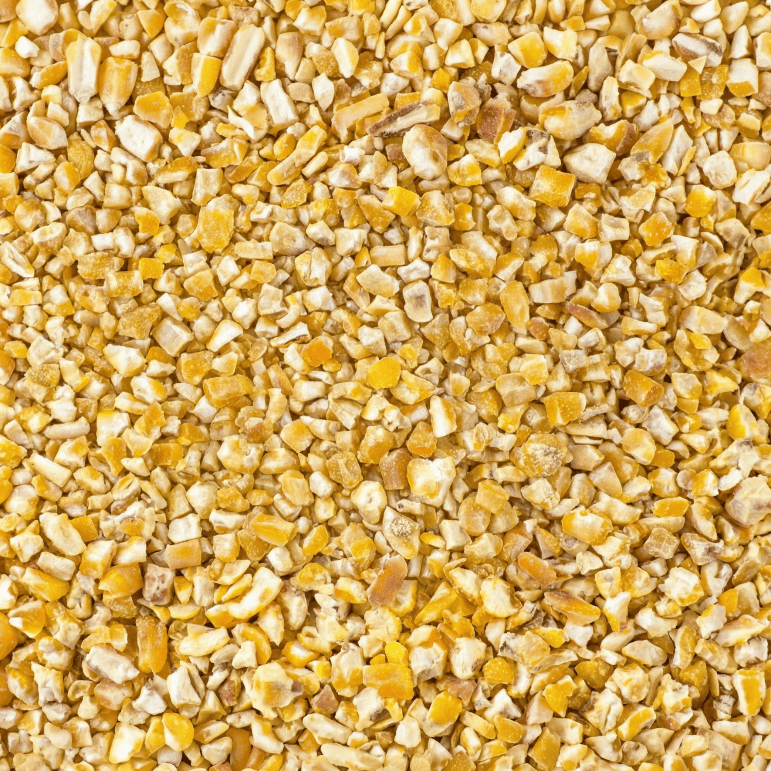 Agrarzone Bio durva kukoricadara 20 kg, részlet, anyag