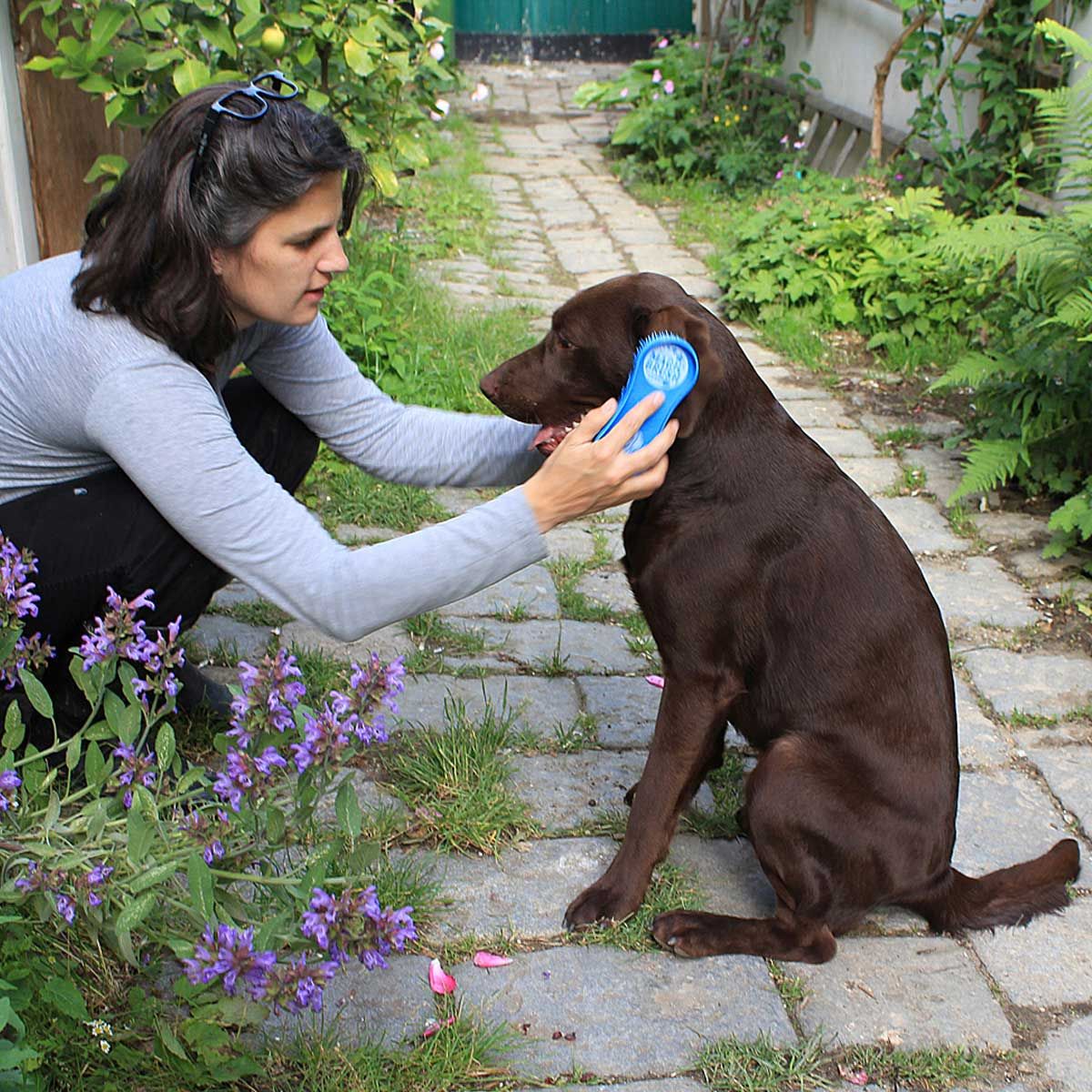 MagicBrush Hundborste DOG med massageeffekt, tvättbar, i användning