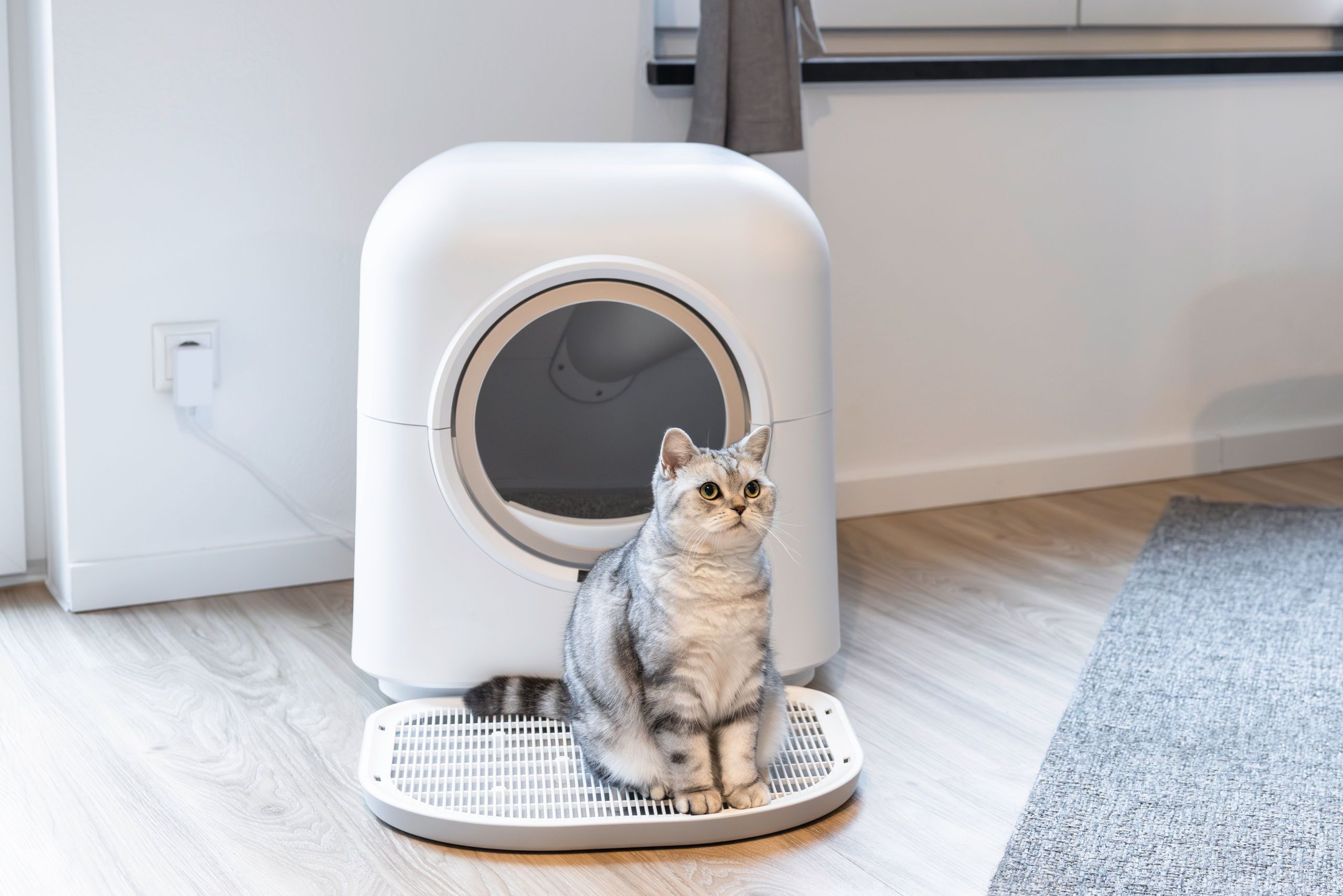Kerbl Katzentoilette Smart selbstreinigend mit App, 54 x 54 cm