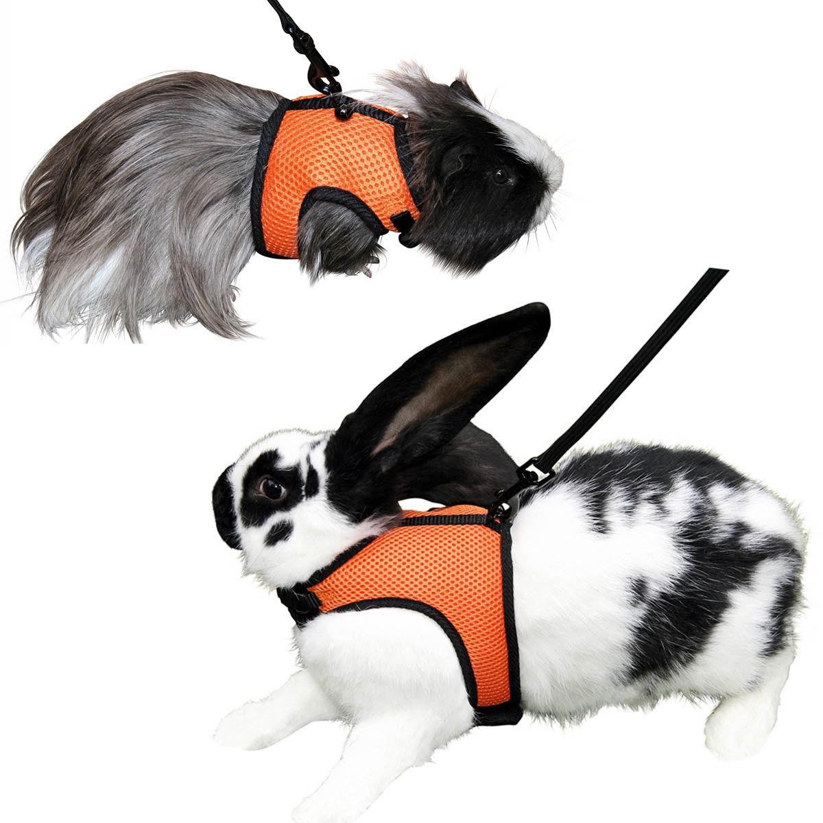 Rodent Harness SPORT incl. flexible leash 120 cm